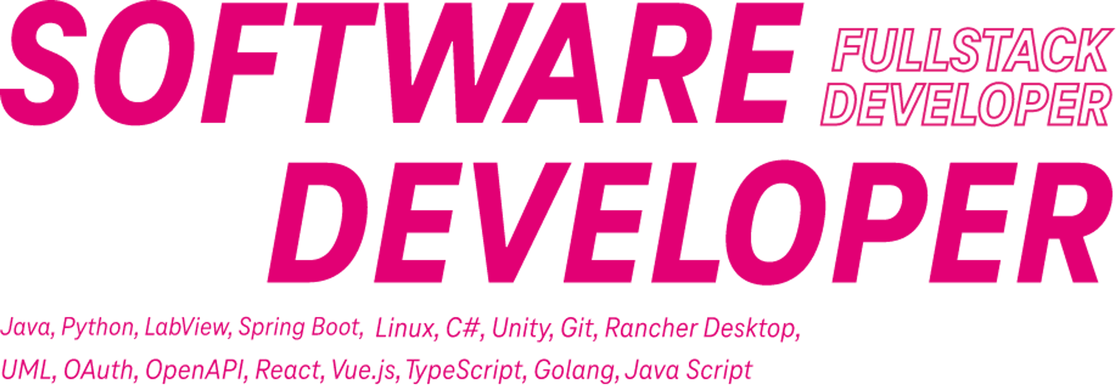 software-developer.png
